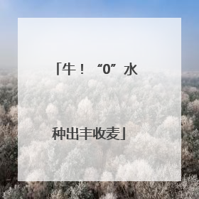 牛！“0”水种出丰收麦